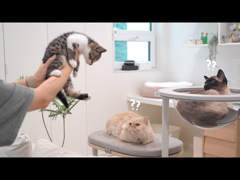은우 새 가족 만나는 날…이지만 기쁜 소식이 있어요