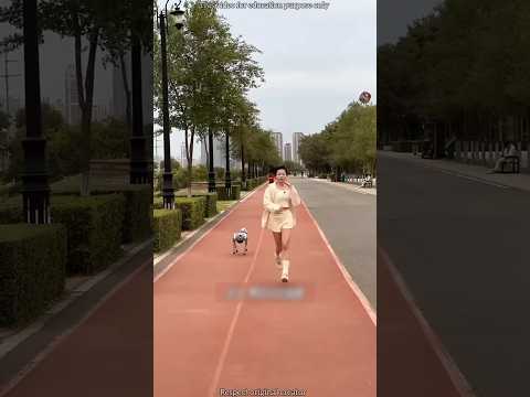 Chinese Girl's Robotic Dog Stuns Everyone! 🤖🐶 #shorts #bangla #youtubeshorts