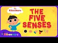 Exploring the Five Senses Through Song