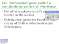 Chromosomal Changes and Genetic Impact