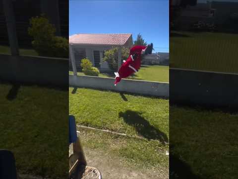 GARI NOEL, MUITA ALEGRIA E ENERGIA NESTE NATAL! " MERRY CHRISTMAS "