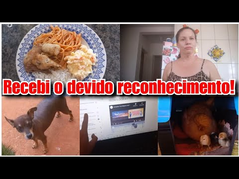 ISSO É UM MILAGRE + REFLEXÃO IMPORTANTE! Vlog ❤️