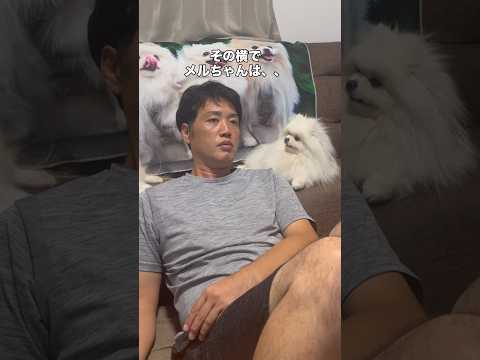 ボクシングよりも自分を見て欲しいメルちゃん