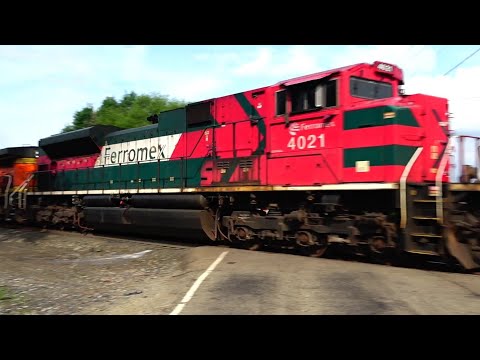 Ferromex Train Meets CSX Train! Fan Yells We Love WWoT! Deer on Tracks w Train Coming Trains Meet!