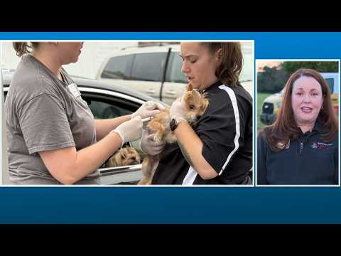 Brandywine <strong>Valley</strong> SPCA offering free shots for dogs, cats