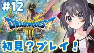 【ドラゴンクエストIII】火口に単身赴任している敵と戦いましょうか！【Vtuber実況】#12