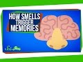 Understanding Odor-Evoked Memories