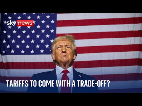 Trump tariffs: What could be the fallout of new president's plans?