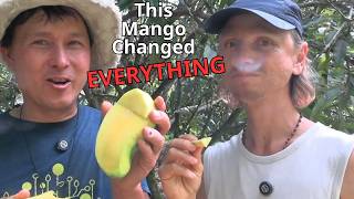 This Farm Grows the Best Mangoes in USA. You’ll Never Buy Imported Again