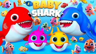 Baby Shark's  Dance Song - Baby songs -Nursery Rhymes & Kids #BabyShark #kids #viral #kpop  #shorts