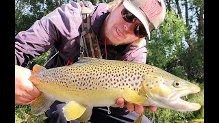 First video of 2024 - Fly Fishing New Zealand's South Island...