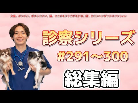 診察シリーズ＃291~300