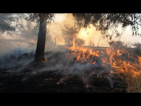 Firefighters battle wildfire in Cyprus' Limassol province | AFP