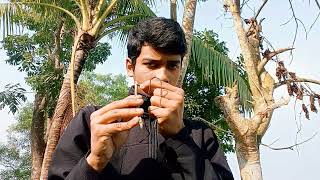 Planting Fruits Trees In My Lovely Garden Part 25