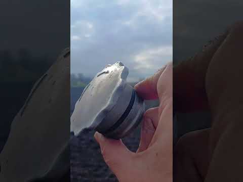 Джек пот по-фермерські) #farming #дмтз544х #життявселі #молдаван #Т70 #мінітракторДМТЗ544х