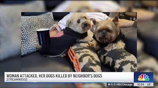 Owner of 2 dogs mauled to death in Chicago suburb recounts attack