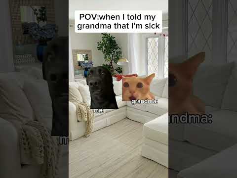 Cat meme😹 When I told my grandma that I'm sick #cat #meowmemes #catmeme #funny