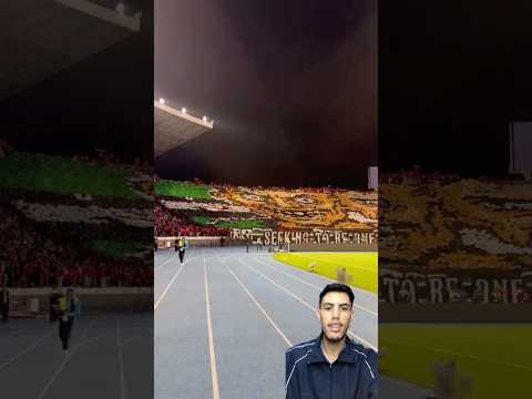 تيفو جماهير الرجاء الرياضي في الديربي البيضاوي #الجزائر #المغرب