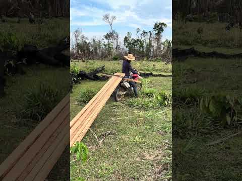 21 de outubro de 2025