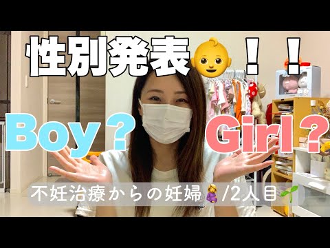 【性別発表👶!!】不妊治療からの妊婦🤰/2人目☘️