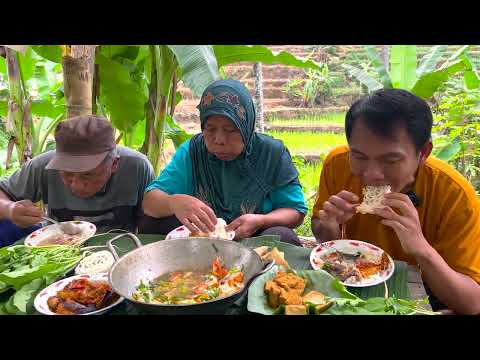 Petik Terong Dan Masak Sop Daging Wahyu