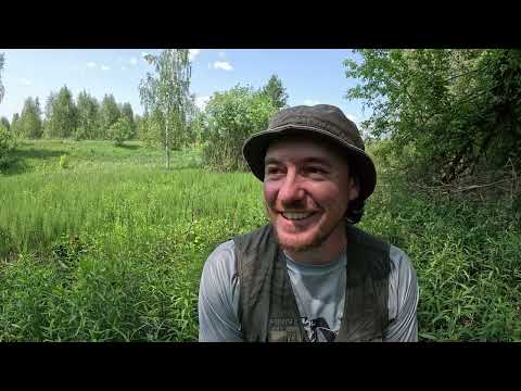 Птицы окрестностей Турлатова и Вишнёвки. Дневник натуралиста 3 и 5 июня 2025 г.