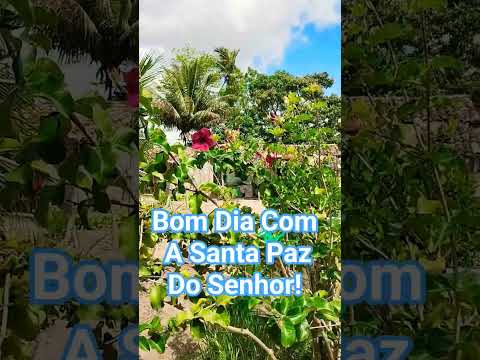 A Santa paz lhe acompanhe #jesus #bomdiaamor #bomdia #mensagensdivinas #mensagem #amor #felizsegunda