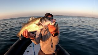 BARS BRETAGNE🎣
