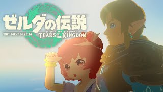 【ゼルダの伝説ティアーズオブザキングダム】5人目の賢者ってやつはどこのどいつだぁ～？！part-27