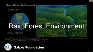 Rain Forest Environment