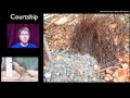 Exploring Behavior Shaped by Natural Selection