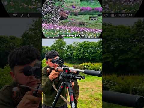 The Silent Assassin: Rabbit Hunting With .22LR Subsonics | DNT ThermNight 335R
