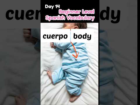 Beginner Lv Spanish Vocabulary Day 14 | Vocabulario en español ingles nivel principiante #castellano