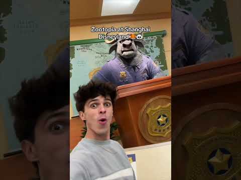 It’s the best 🇨🇳😍