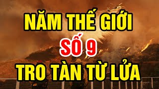 2025 Năm Thế Giới số 9 ! Trạm Kỳ Bí