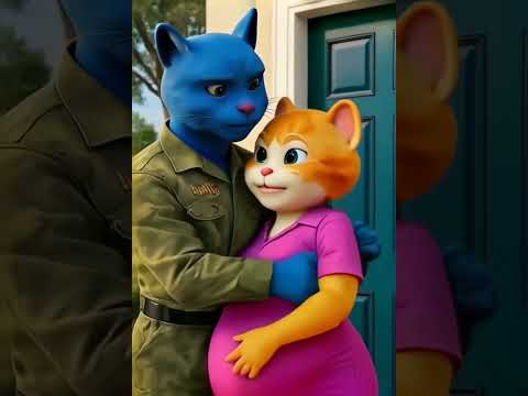 #soldier cat and his pregnant wife #part1: #emotional short #kitten #cat