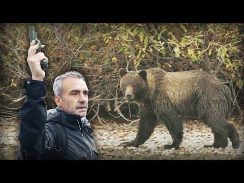 FACE À FACE AVEC UN GRIZZLY - Cyril Chauquet
