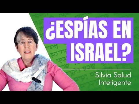 ¿Espías en Israel?