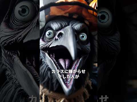 小道に入ったら1匹のカラスにめちゃくちゃカーカー言われてゾワッとした、、、#動物 #怖い話 #動物雑学 #カラス#おもしろ雑学