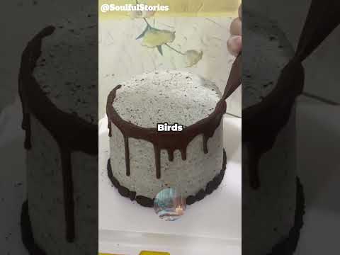 The 412 Loop😐#reddit #shorts