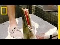 Fishing Experience and Reactions