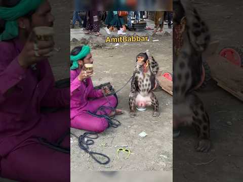 рдмрдВрджрд░ рдиреЗ рдмрддрд╛рдпрд╛ рдХреА рдЬрд┐рдиреНрд╣реЛрдВрдиреЗ рдореБрдЭреЗ рдкреИрд╕реЗ рджрд┐рдпреЗ рдЙрдирдХреЛ рдХреМрди рджреЗрдЧрд╛ рд╣рд╛рде рдЙрдард╛ рдХреЗ рдмрддрд╛рдпрд╛ #madari #kalumadaari #trend