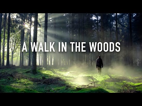 Guided Mindfulness Meditation: A Walk in the Woods [12 Minutes Spoken]