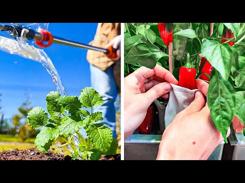 ¡Innovadoras Trucos y Herramientas de Jardinería que Debes Probar!
