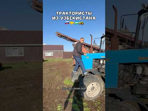 Хорошие трактористы из Узбекистана🔥 #тракторист #тракторист #узбекистан