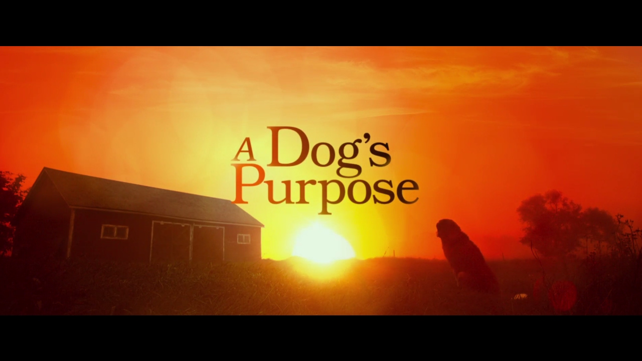 A Dog's Purpose trailer thumbnail