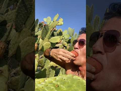 How to eating cactus ๐ต๐ #shorts
