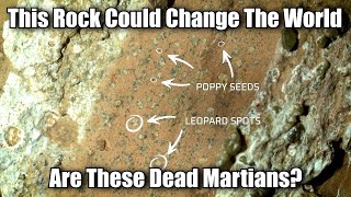 Has NASA Found 3 Billion Year Old Dead Martians? Why A Green Crystal Could Be A Biosignature!