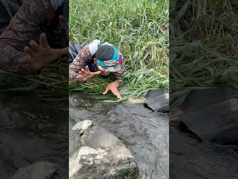 Umagos ang mga malalaking Isda sa sapa galing Dam!