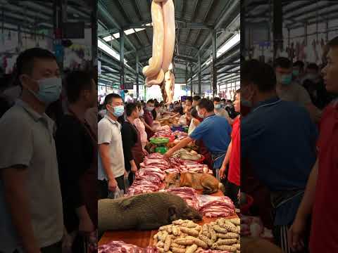 #wildanimals old in market